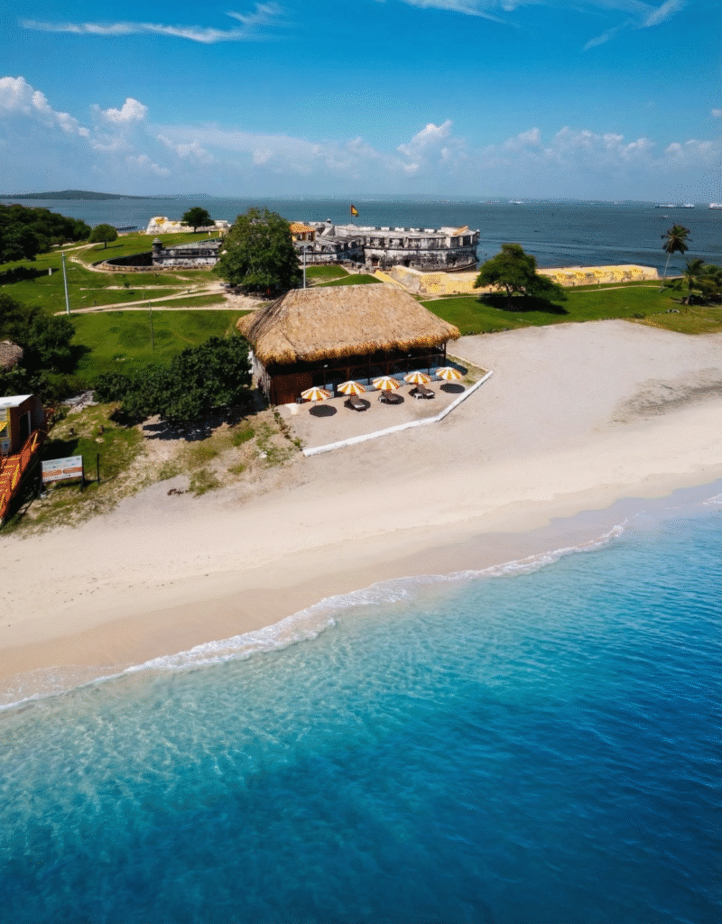 1767718164073 019b9435 bcac 73d9 afd4 ef79cef3eff8